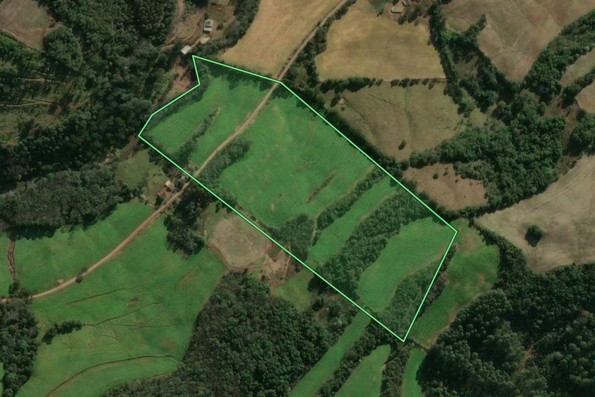 Imagem de satélite do imóvel rural em Três Arroios (RS), com o contorno declarado no CAR desenhado por cima.