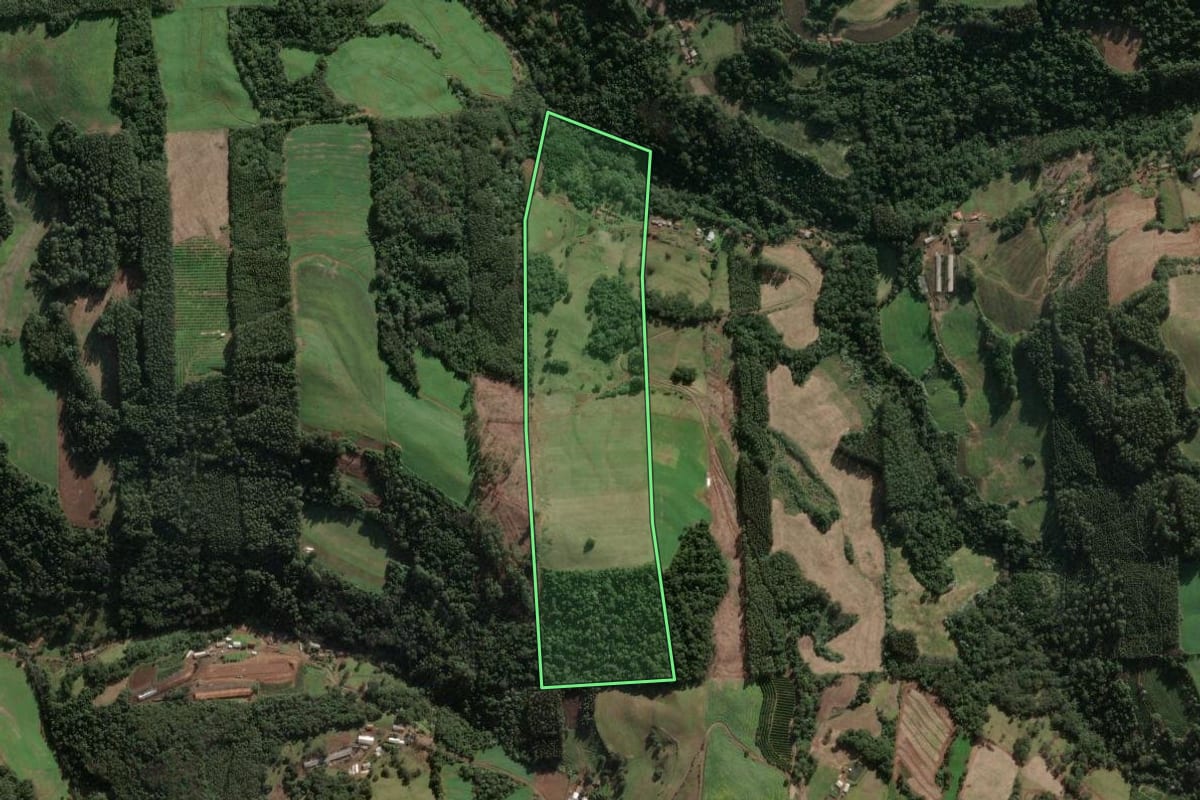 Imagem de satélite do imóvel rural em Três Arroios (RS), com o contorno declarado no CAR desenhado por cima.