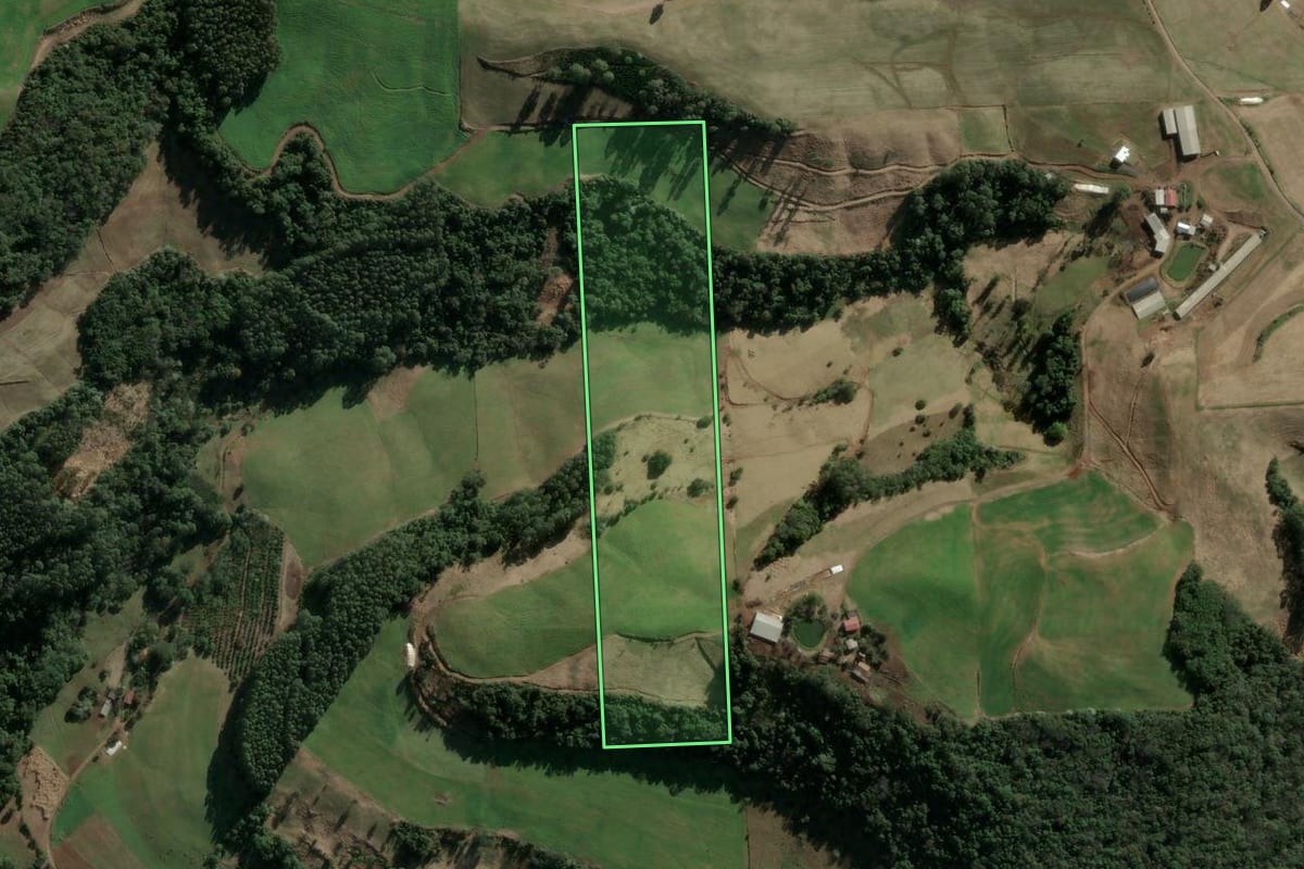 Imagem de satélite do imóvel rural em Três Arroios (RS), com o contorno declarado no CAR desenhado por cima.