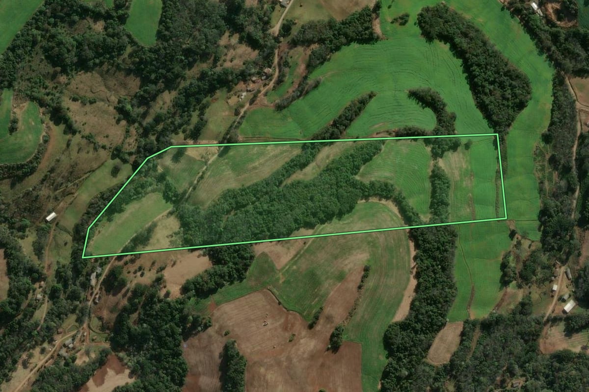 Imagem de satélite do imóvel rural em Três Arroios (RS), com o contorno declarado no CAR desenhado por cima.