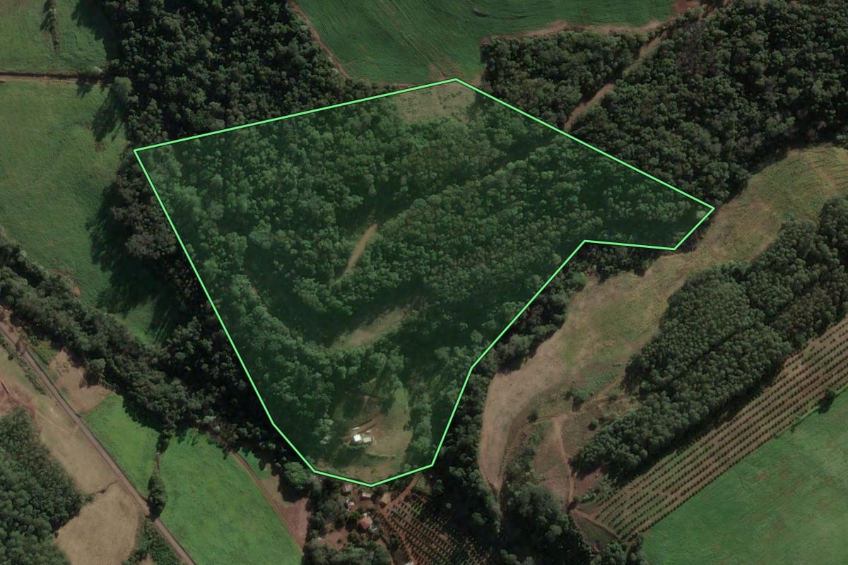 Imagem de satélite do imóvel rural em Três Arroios (RS), com o contorno declarado no CAR desenhado por cima.