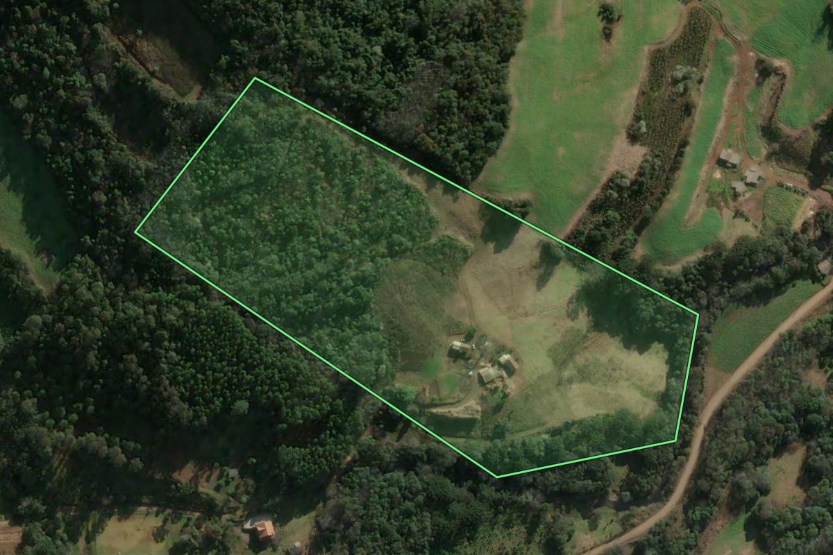 Imagem de satélite do imóvel rural em Três Arroios (RS), com o contorno declarado no CAR desenhado por cima.