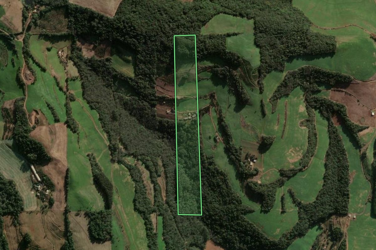 Imagem de satélite do imóvel rural em Três Arroios (RS), com o contorno declarado no CAR desenhado por cima.