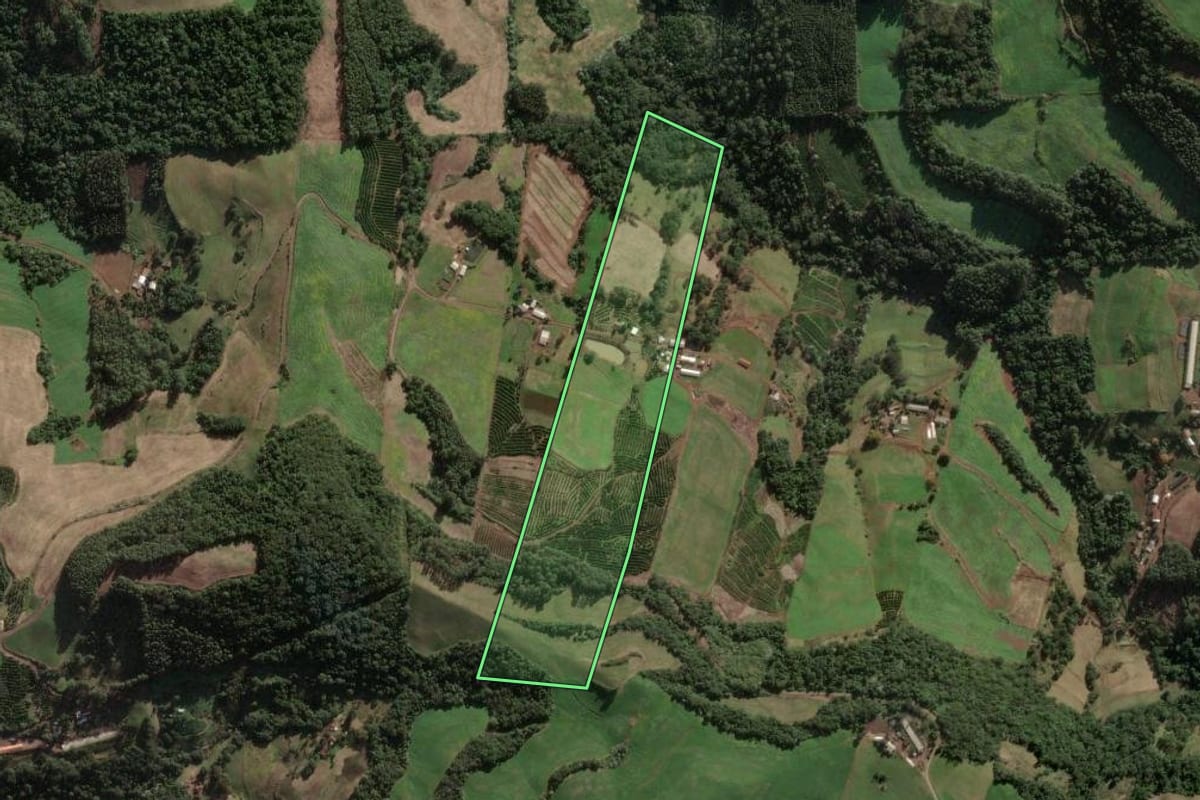 Imagem de satélite do imóvel rural em Três Arroios (RS), com o contorno declarado no CAR desenhado por cima.