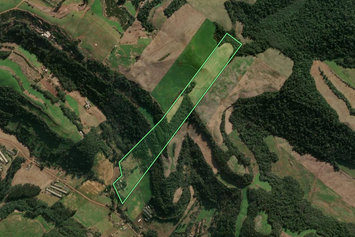 Imagem de satélite do imóvel rural em Três Arroios (RS), com o contorno declarado no CAR desenhado por cima.