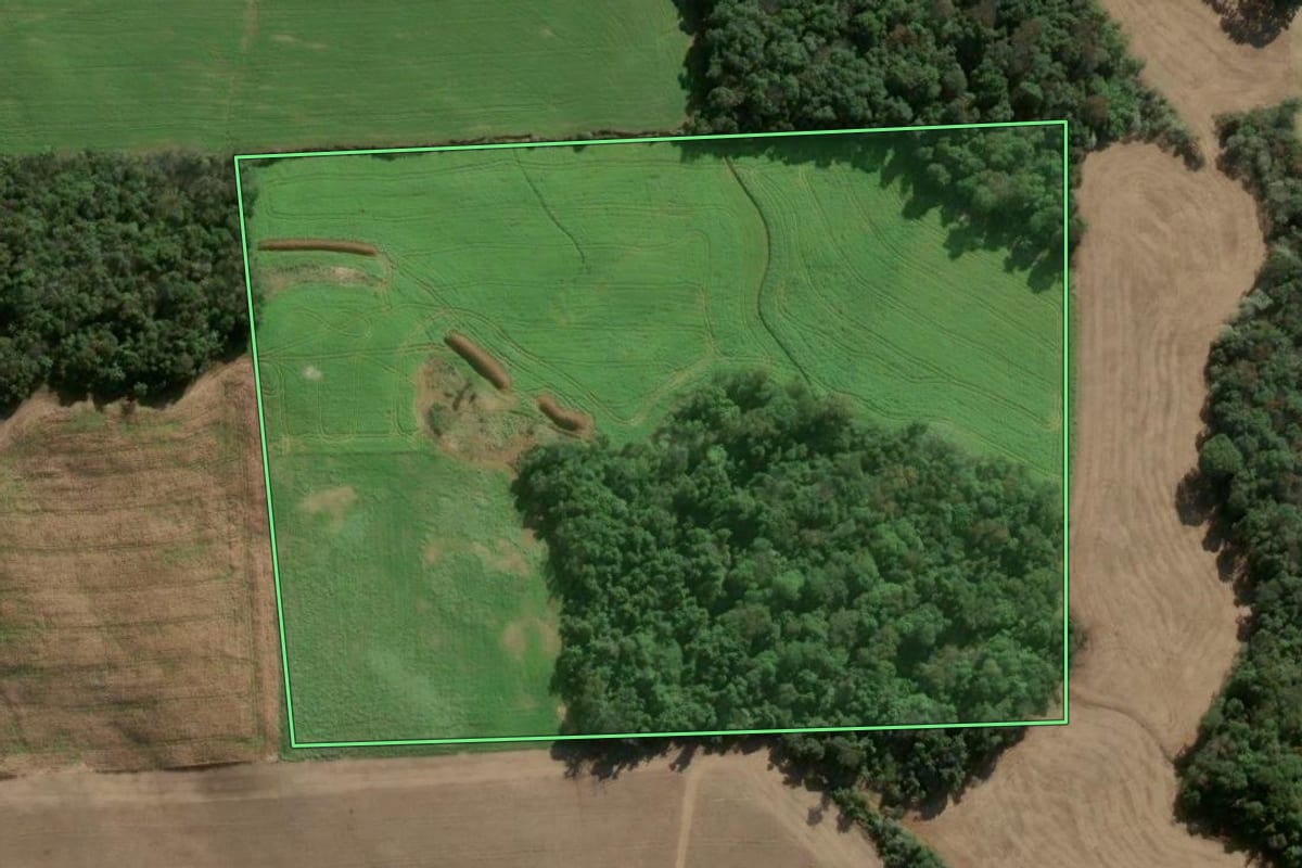 Imagem de satélite do imóvel rural em Três Arroios (RS), com o contorno declarado no CAR desenhado por cima.