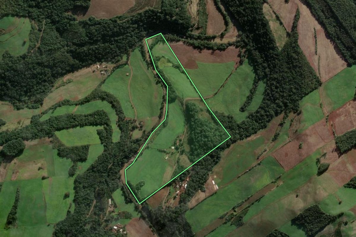 Imagem de satélite do imóvel rural em Três Arroios (RS), com o contorno declarado no CAR desenhado por cima.