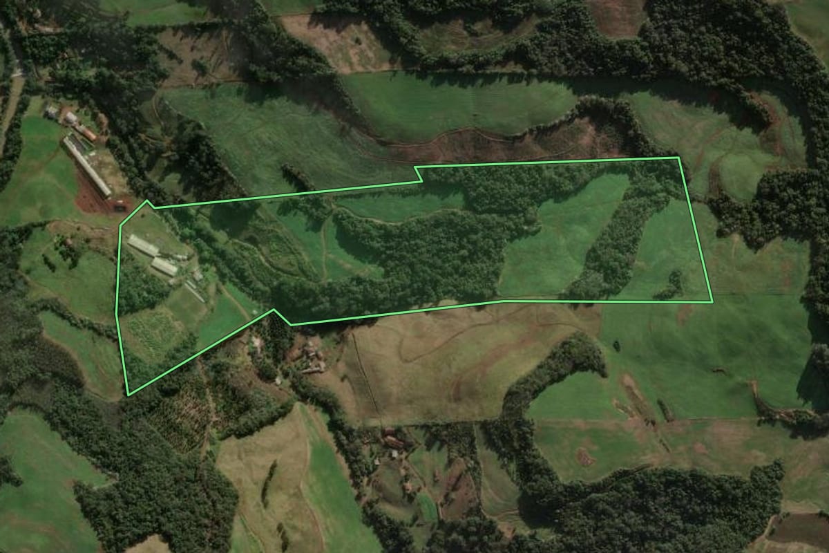 Imagem de satélite do imóvel rural em Três Arroios (RS), com o contorno declarado no CAR desenhado por cima.