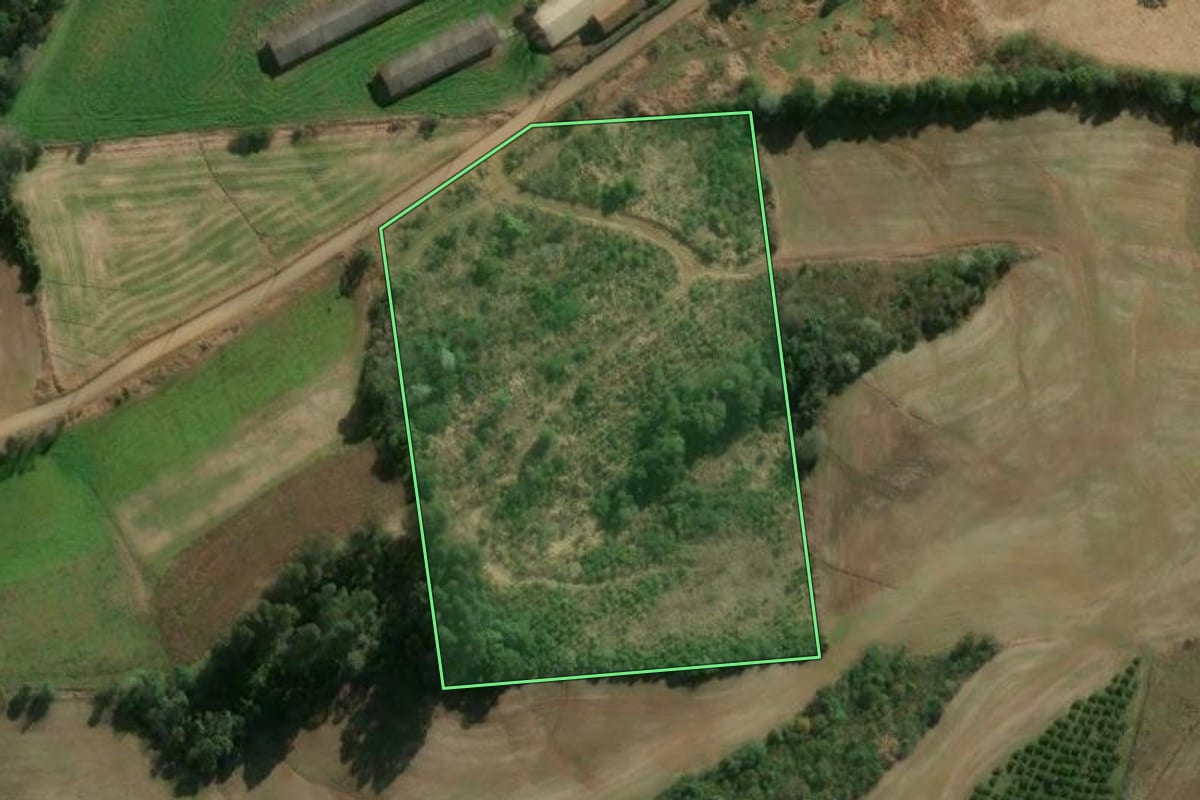 Imagem de satélite do imóvel rural em Três Arroios (RS), com o contorno declarado no CAR desenhado por cima.
