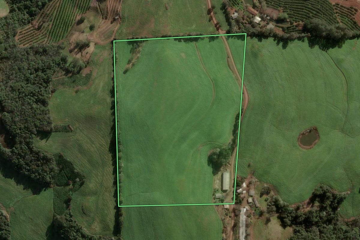 Imagem de satélite do imóvel rural em Três Arroios (RS), com o contorno declarado no CAR desenhado por cima.