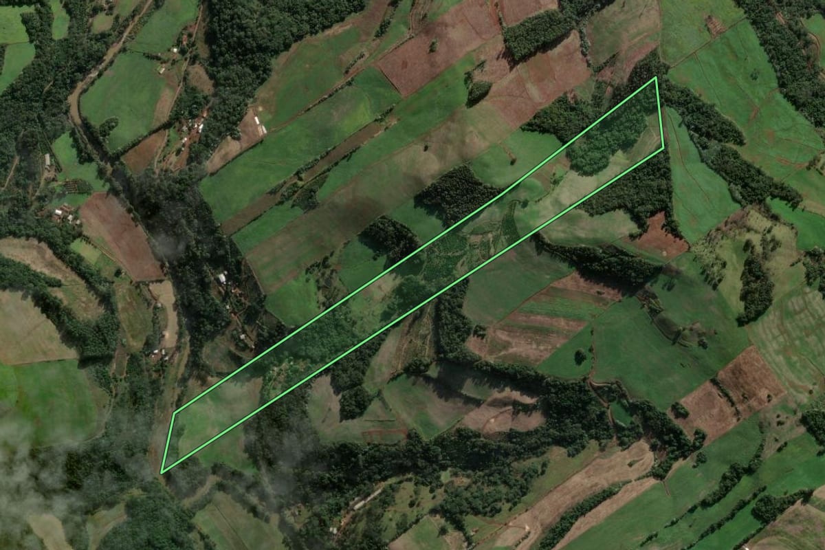 Imagem de satélite do imóvel rural em Três Arroios (RS), com o contorno declarado no CAR desenhado por cima.