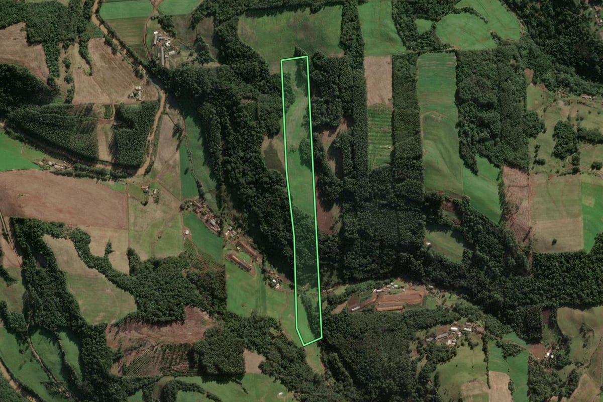 Imagem de satélite do imóvel rural em Três Arroios (RS), com o contorno declarado no CAR desenhado por cima.