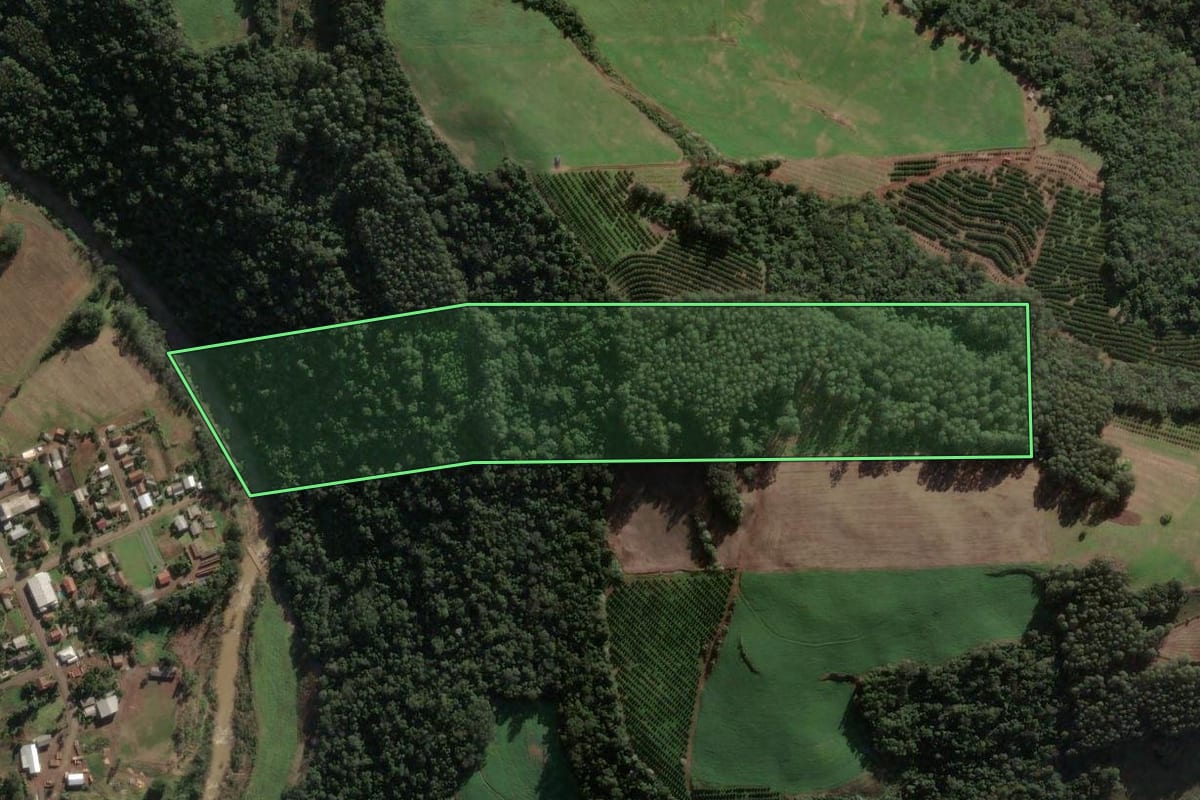 Imagem de satélite do imóvel rural em Três Arroios (RS), com o contorno declarado no CAR desenhado por cima.