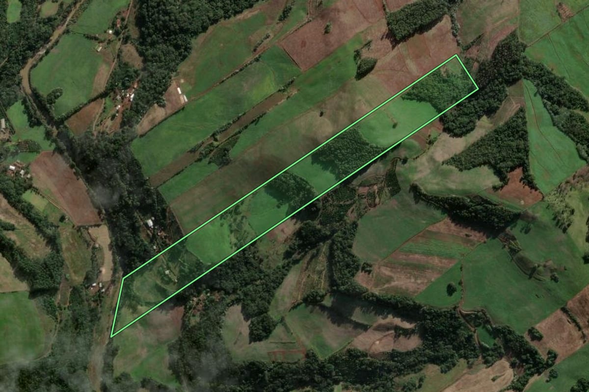 Imagem de satélite do imóvel rural em Três Arroios (RS), com o contorno declarado no CAR desenhado por cima.