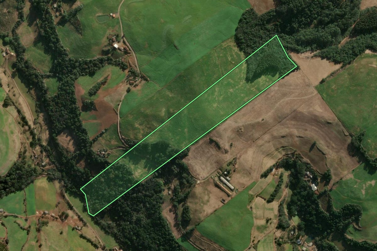 Imagem de satélite do imóvel rural em Três Arroios (RS), com o contorno declarado no CAR desenhado por cima.
