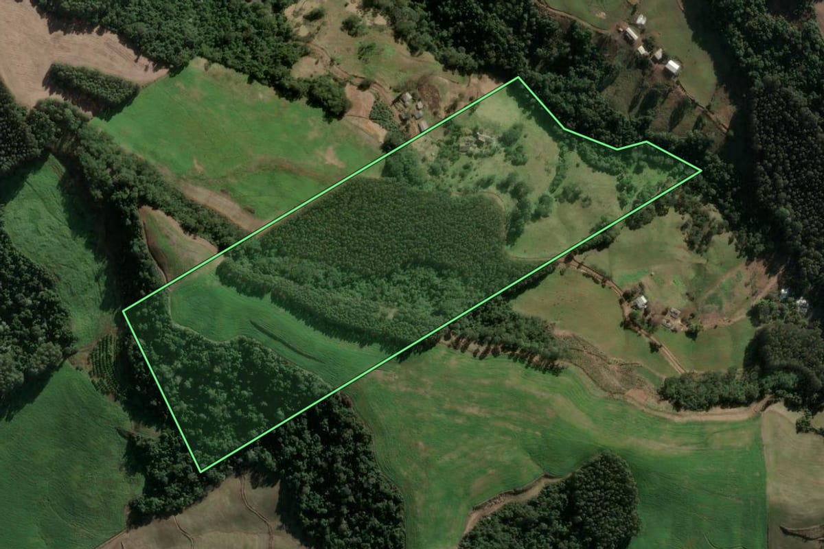Imagem de satélite do imóvel rural em Três Arroios (RS), com o contorno declarado no CAR desenhado por cima.