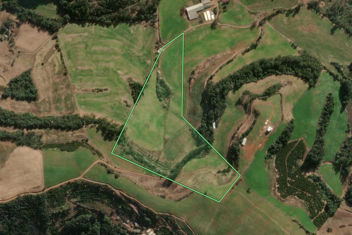 Imagem de satélite do imóvel rural em Três Arroios (RS), com o contorno declarado no CAR desenhado por cima.