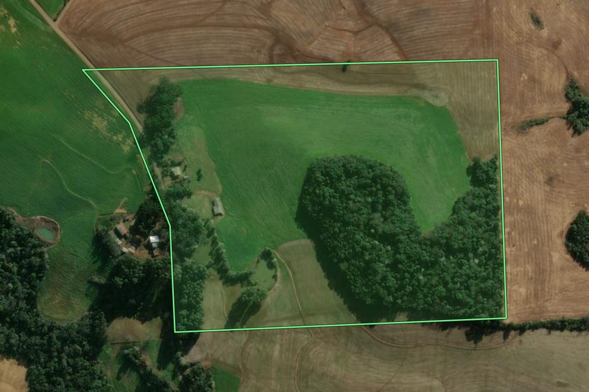 Imagem de satélite do imóvel rural em Três Arroios (RS), com o contorno declarado no CAR desenhado por cima.