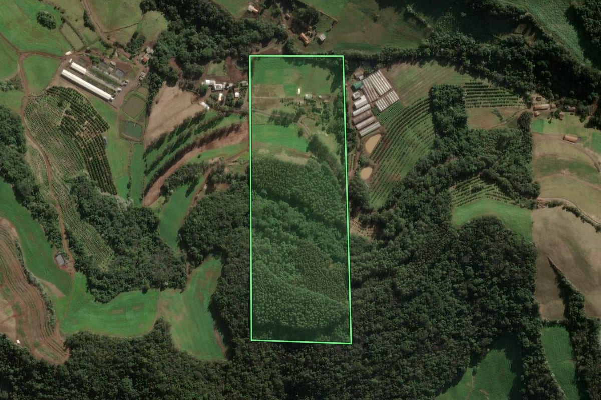 Imagem de satélite do imóvel rural em Três Arroios (RS), com o contorno declarado no CAR desenhado por cima.