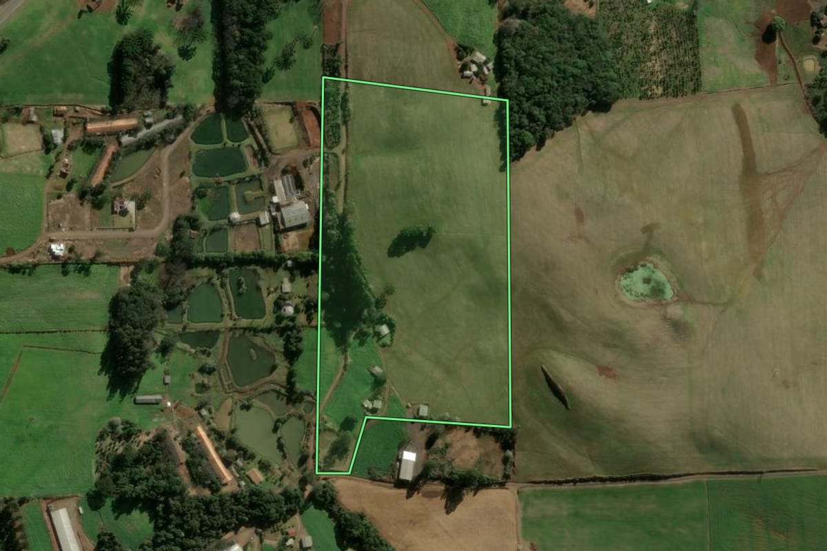 Imagem de satélite do imóvel rural em Três Arroios (RS), com o contorno declarado no CAR desenhado por cima.