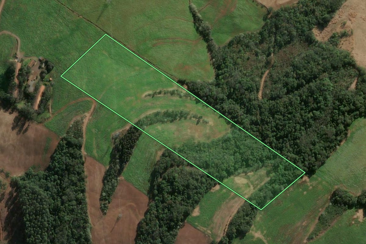 Imagem de satélite do imóvel rural em Três Arroios (RS), com o contorno declarado no CAR desenhado por cima.