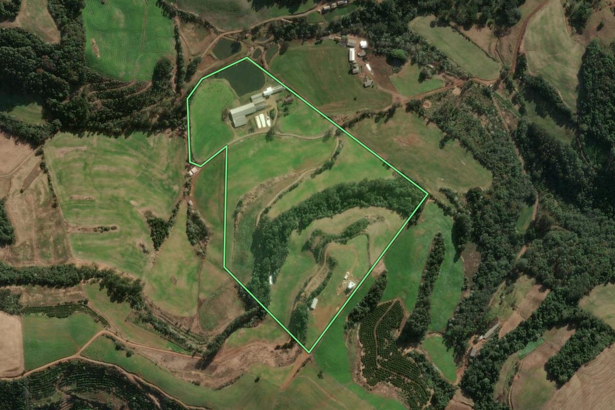 Imagem de satélite do imóvel rural em Três Arroios (RS), com o contorno declarado no CAR desenhado por cima.