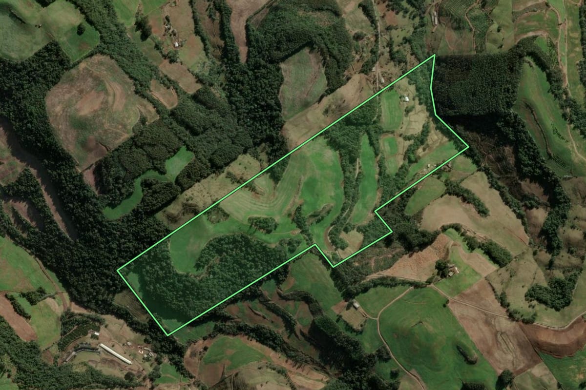 Imagem de satélite do imóvel rural em Três Arroios (RS), com o contorno declarado no CAR desenhado por cima.