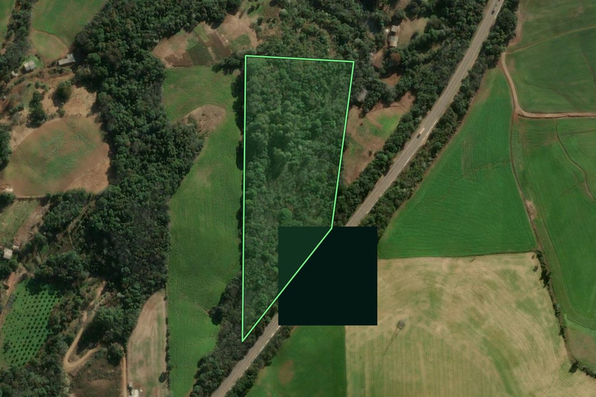 Imagem de satélite do imóvel rural em Três Arroios (RS), com o contorno declarado no CAR desenhado por cima.