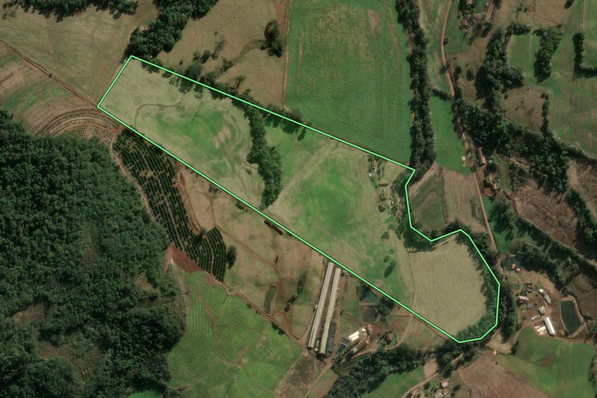 Imagem de satélite do imóvel rural em Três Arroios (RS), com o contorno declarado no CAR desenhado por cima.