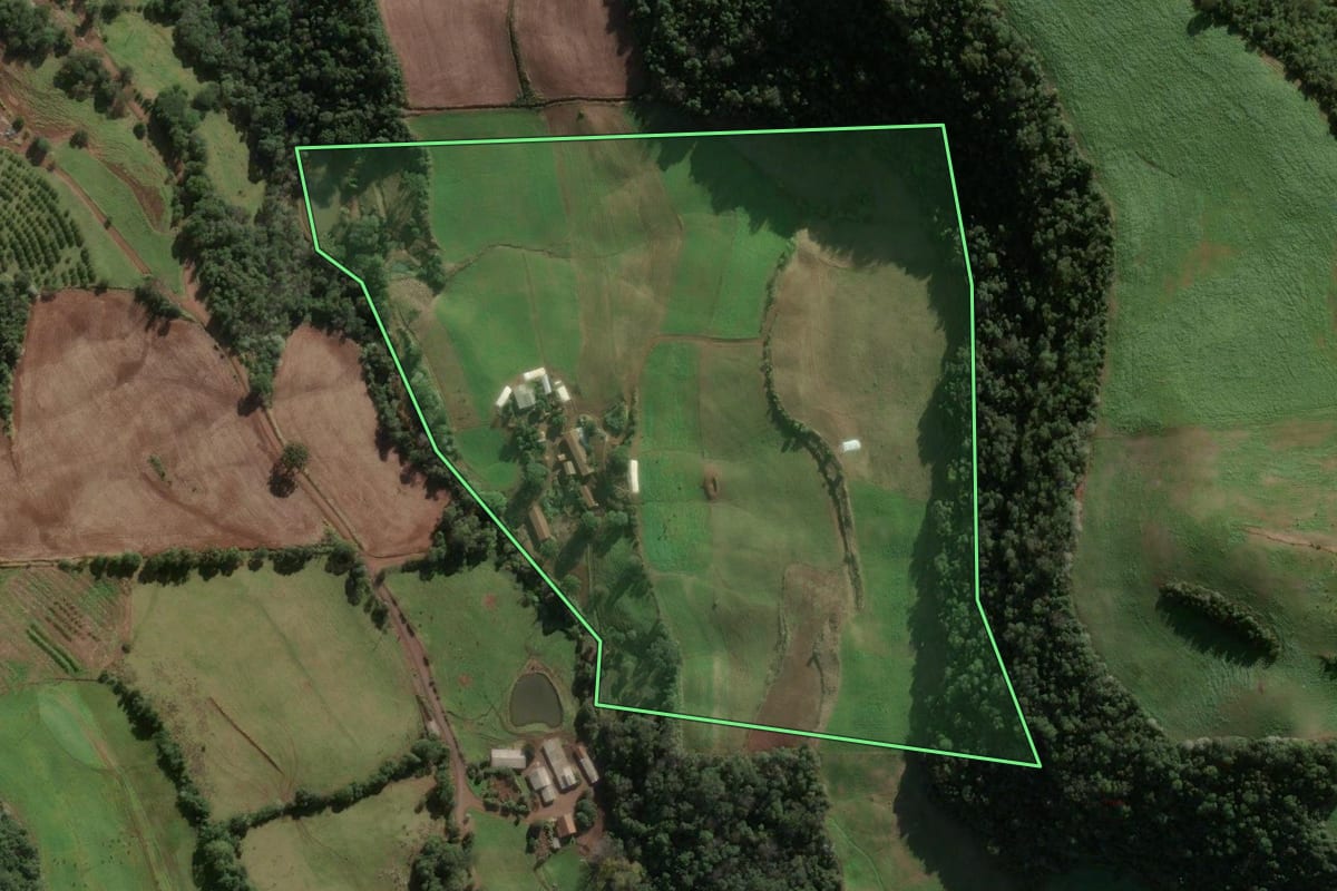 Imagem de satélite do imóvel rural em Três Arroios (RS), com o contorno declarado no CAR desenhado por cima.