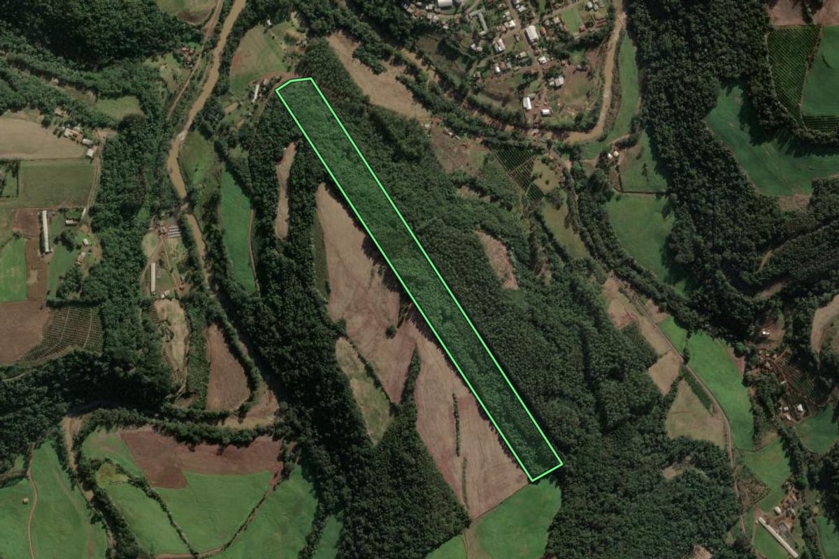 Imagem de satélite do imóvel rural em Três Arroios (RS), com o contorno declarado no CAR desenhado por cima.