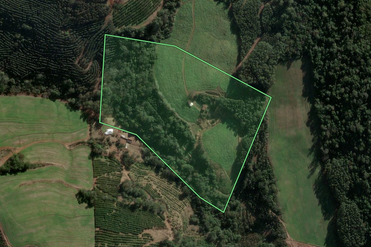 Imagem de satélite do imóvel rural em Três Arroios (RS), com o contorno declarado no CAR desenhado por cima.