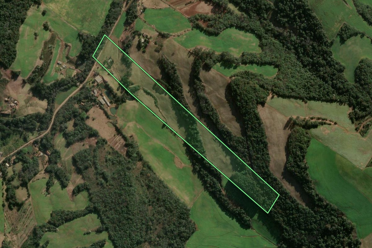 Imagem de satélite do imóvel rural em Três Arroios (RS), com o contorno declarado no CAR desenhado por cima.