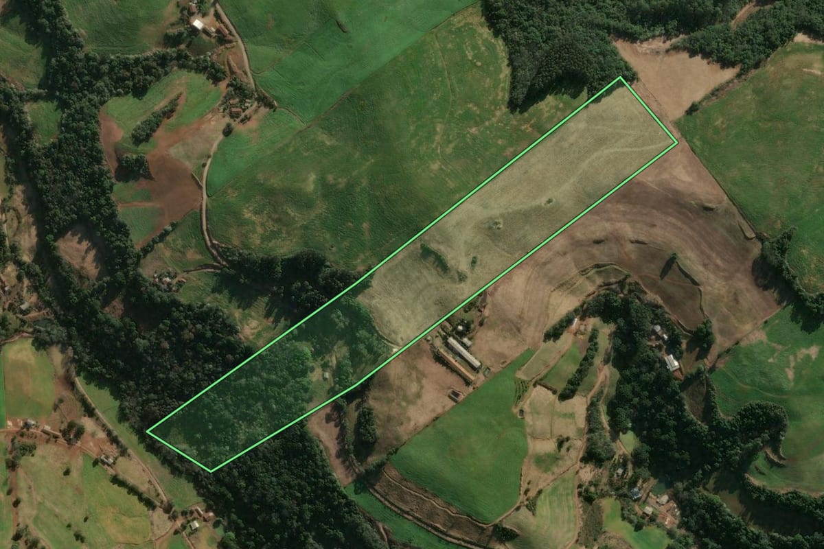 Imagem de satélite do imóvel rural em Três Arroios (RS), com o contorno declarado no CAR desenhado por cima.