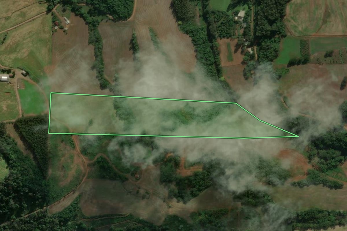 Imagem de satélite do imóvel rural em Três Arroios (RS), com o contorno declarado no CAR desenhado por cima.