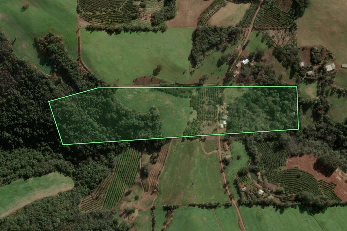 Imagem de satélite do imóvel rural em Três Arroios (RS), com o contorno declarado no CAR desenhado por cima.