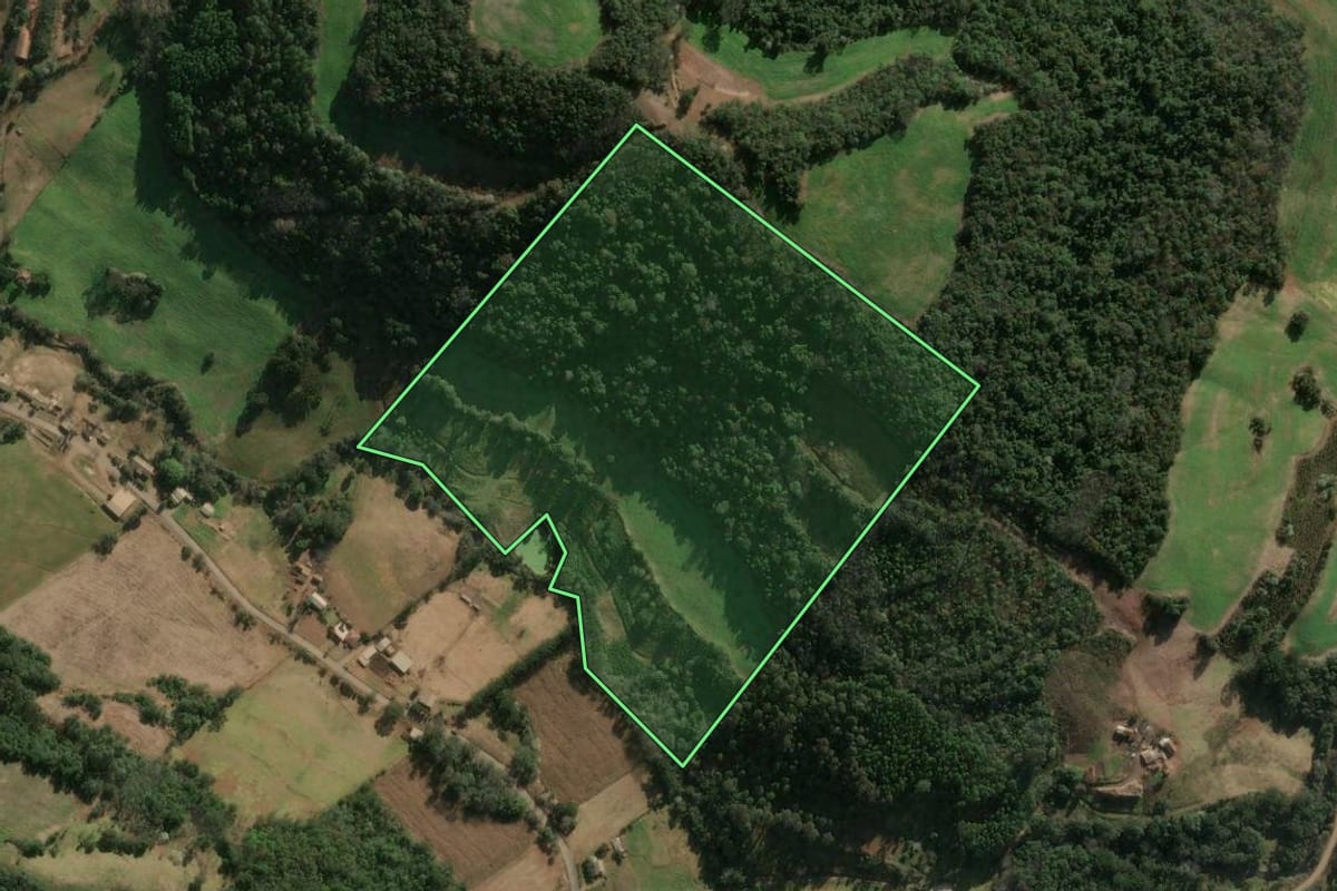 Imagem de satélite do imóvel rural em Três Arroios (RS), com o contorno declarado no CAR desenhado por cima.