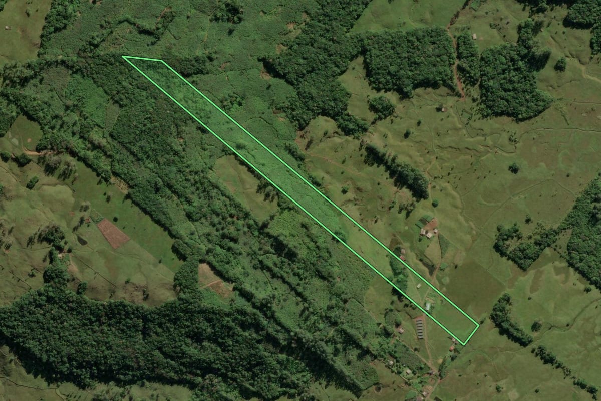 Imagem de satélite do imóvel rural em Três Cachoeiras (RS), com o contorno declarado no CAR desenhado por cima.