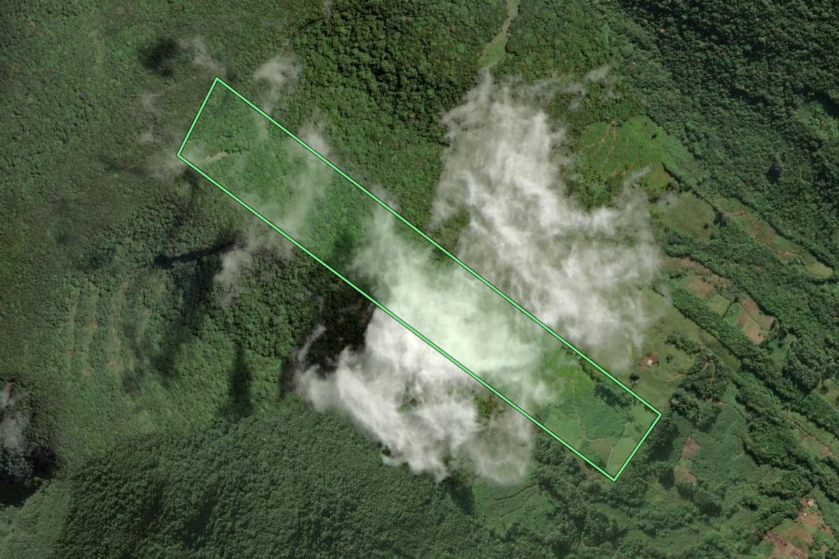 Imagem de satélite do imóvel rural em Três Cachoeiras (RS), com o contorno declarado no CAR desenhado por cima.