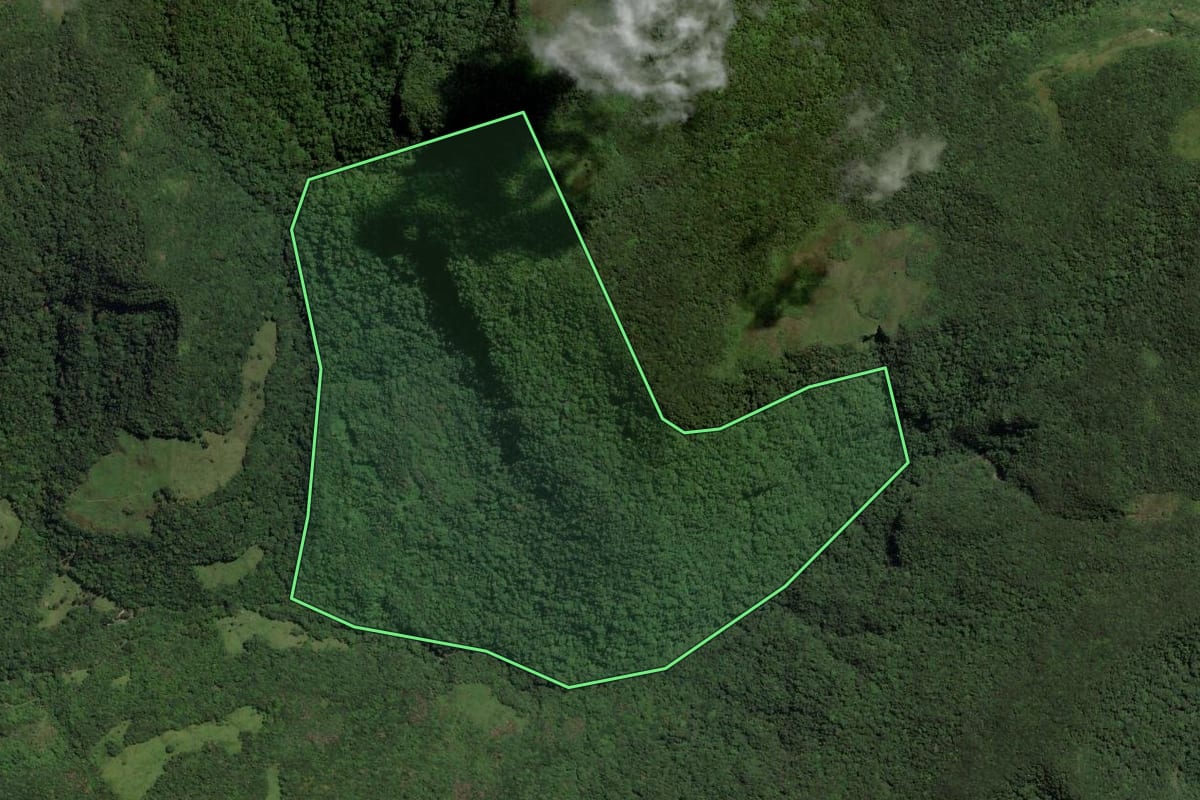 Imagem de satélite do imóvel rural em Três Cachoeiras (RS), com o contorno declarado no CAR desenhado por cima.