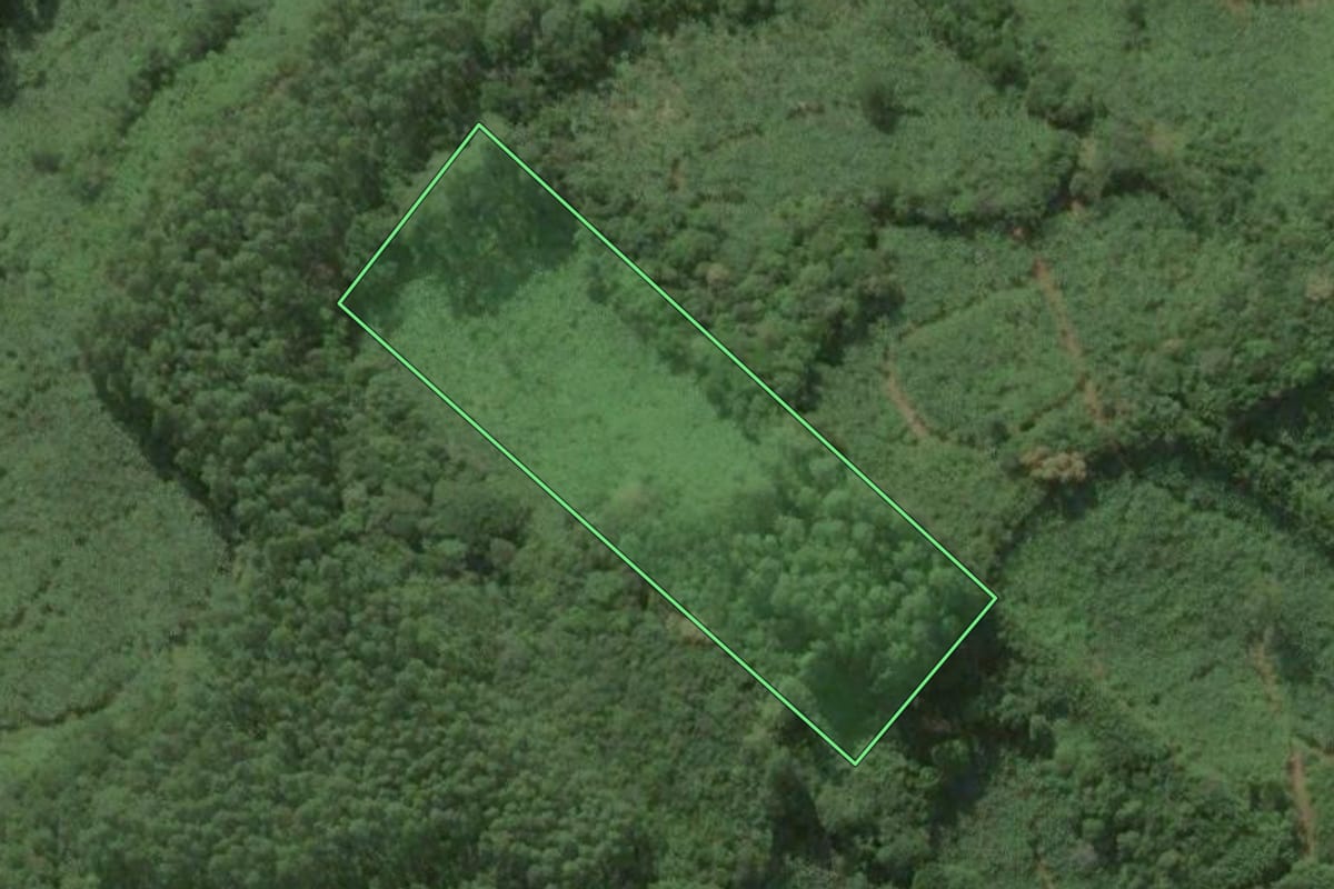 Imagem de satélite do imóvel rural em Três Cachoeiras (RS), com o contorno declarado no CAR desenhado por cima.