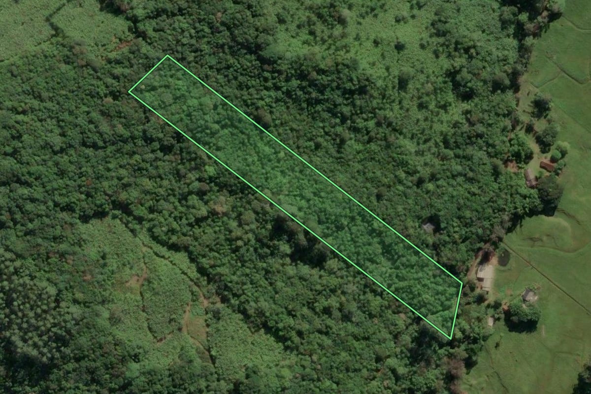 Imagem de satélite do imóvel rural em Três Cachoeiras (RS), com o contorno declarado no CAR desenhado por cima.