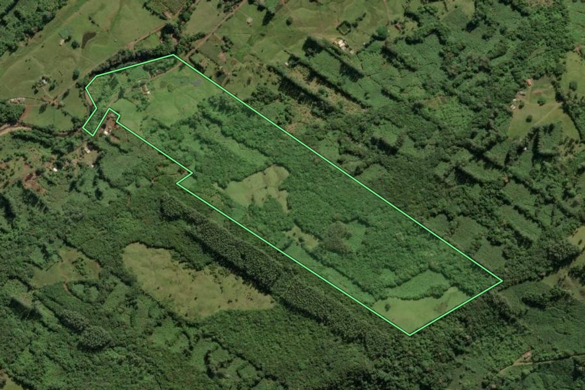 Imagem de satélite do imóvel rural em Três Cachoeiras (RS), com o contorno declarado no CAR desenhado por cima.