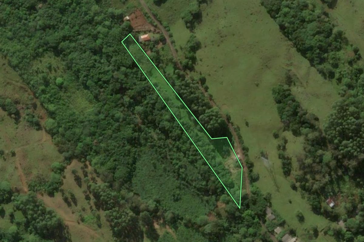 Imagem de satélite do imóvel rural em Três Cachoeiras (RS), com o contorno declarado no CAR desenhado por cima.