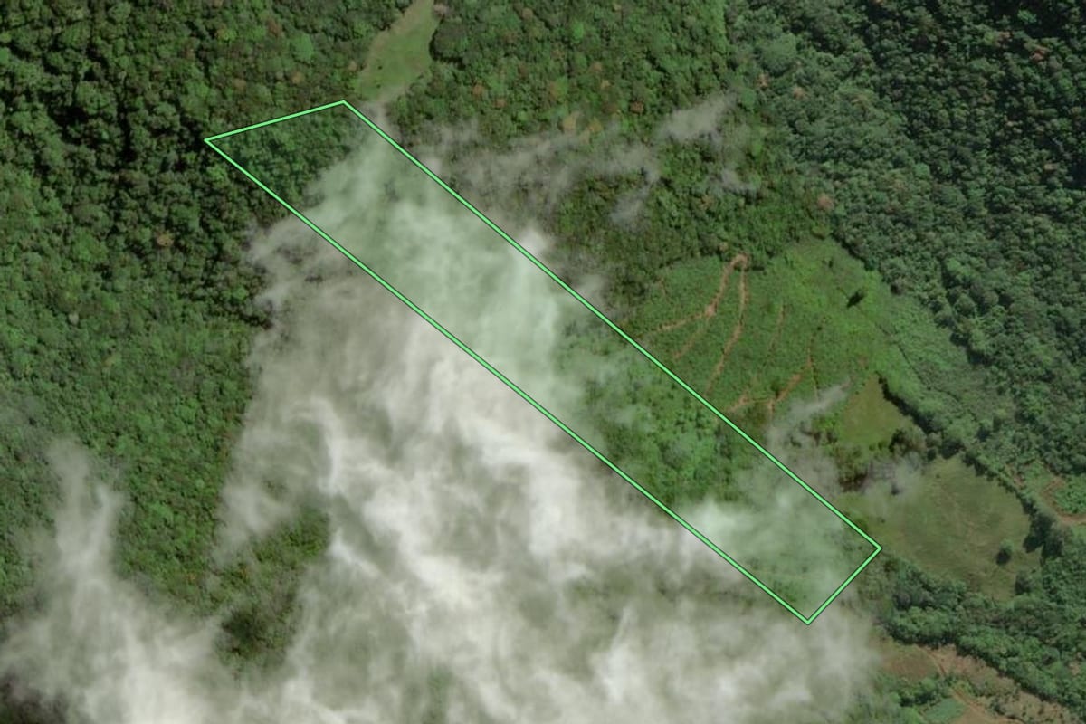 Imagem de satélite do imóvel rural em Três Cachoeiras (RS), com o contorno declarado no CAR desenhado por cima.