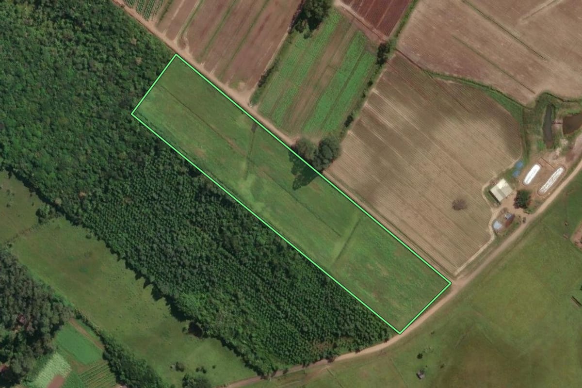 Imagem de satélite do imóvel rural em Três Cachoeiras (RS), com o contorno declarado no CAR desenhado por cima.