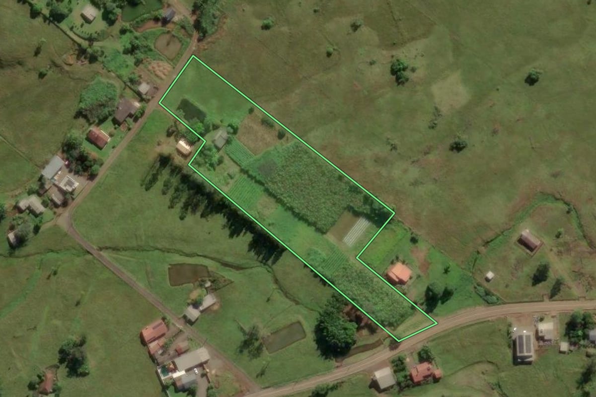 Imagem de satélite do imóvel rural em Três Cachoeiras (RS), com o contorno declarado no CAR desenhado por cima.