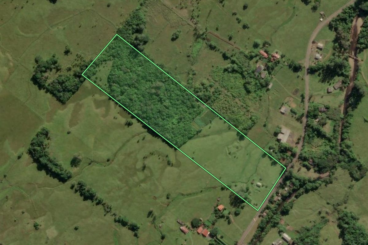 Imagem de satélite do imóvel rural em Três Cachoeiras (RS), com o contorno declarado no CAR desenhado por cima.