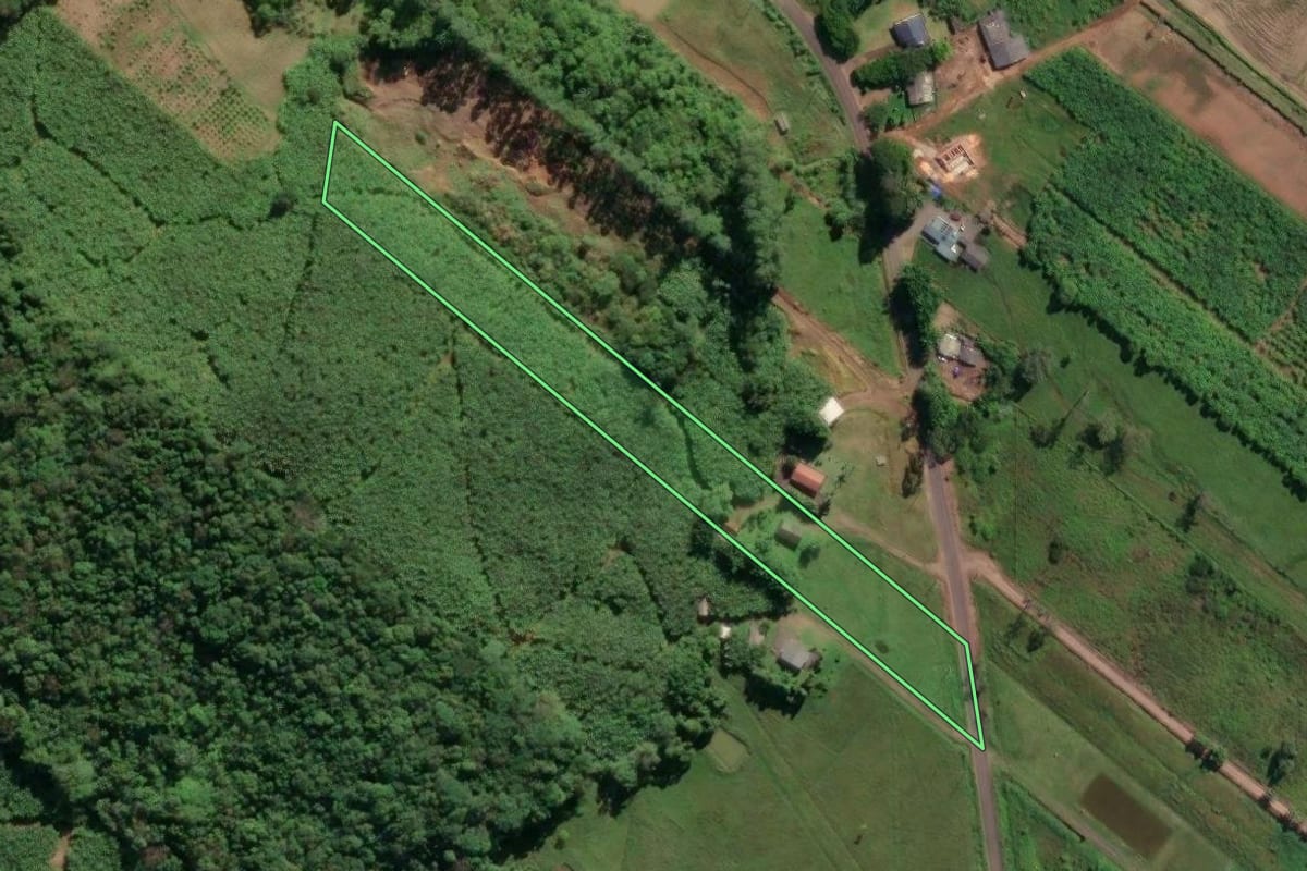 Imagem de satélite do imóvel rural em Três Cachoeiras (RS), com o contorno declarado no CAR desenhado por cima.