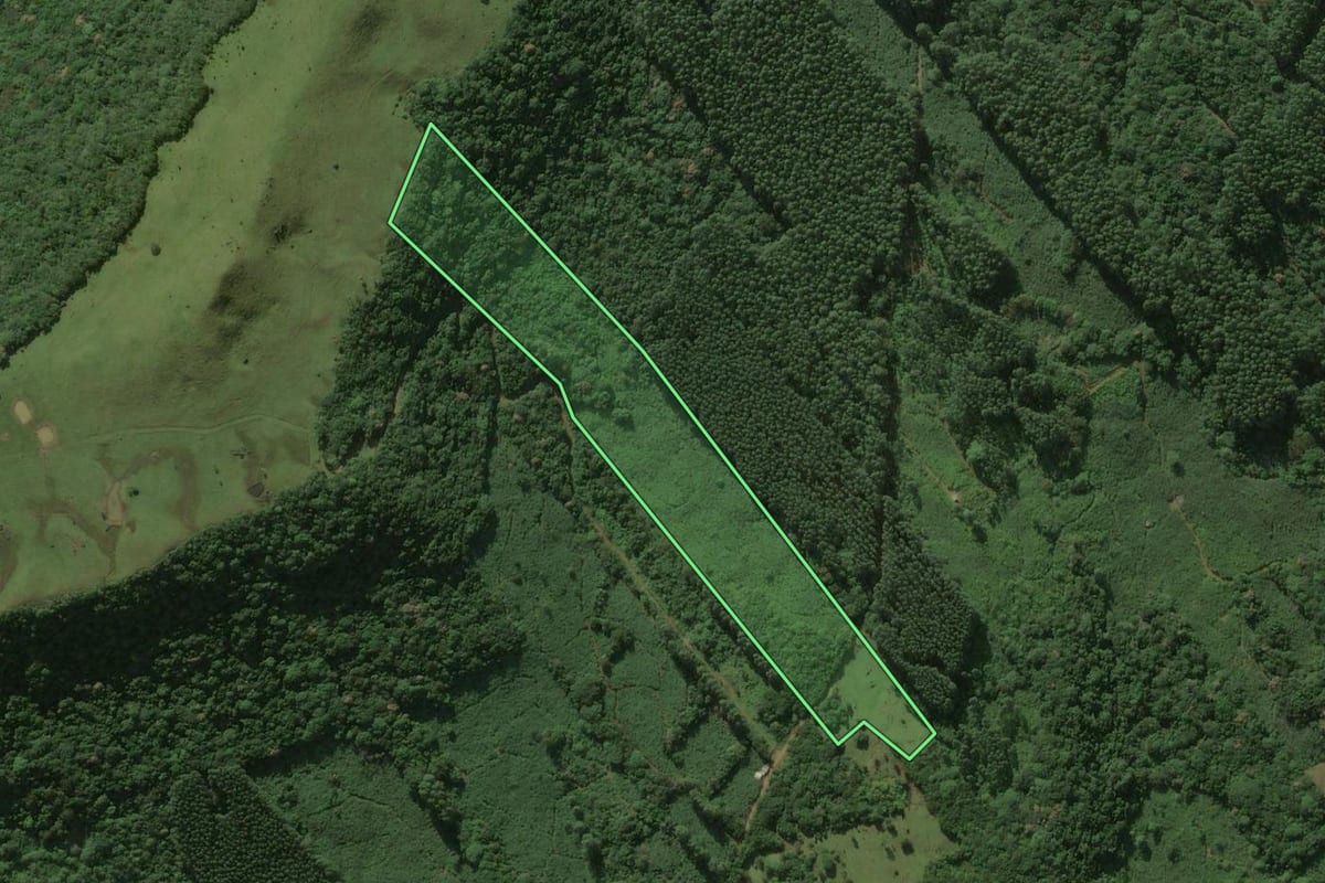 Imagem de satélite do imóvel rural em Três Cachoeiras (RS), com o contorno declarado no CAR desenhado por cima.